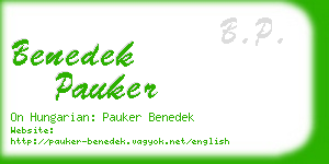 benedek pauker business card